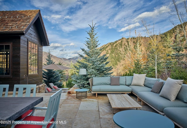 864 Moore Dr, Aspen, CO 81611 - photo 25