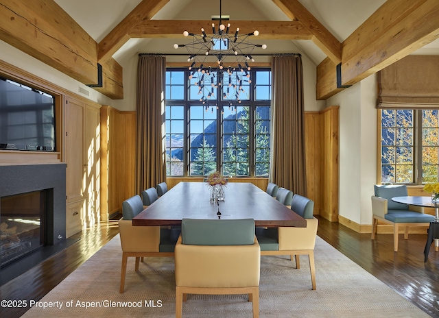864 Moore Dr, Aspen, CO 81611 - photo 7