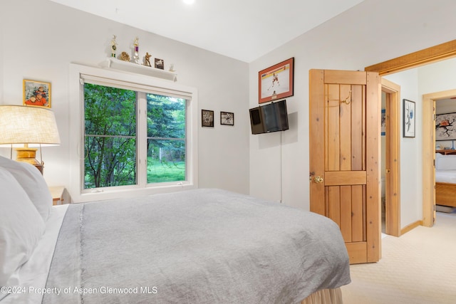 85 Glen Garry Dr, Aspen, CO 81611 - photo 29