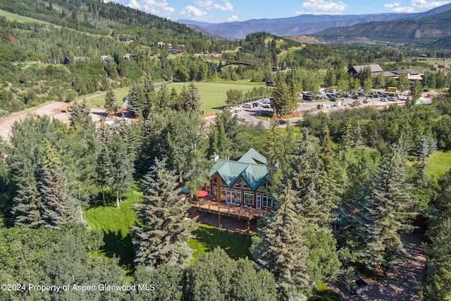 85 Glen Garry Dr, Aspen, CO 81611 - photo 37