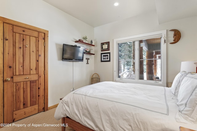 85 Glen Garry Dr, Aspen, CO 81611 - photo 19