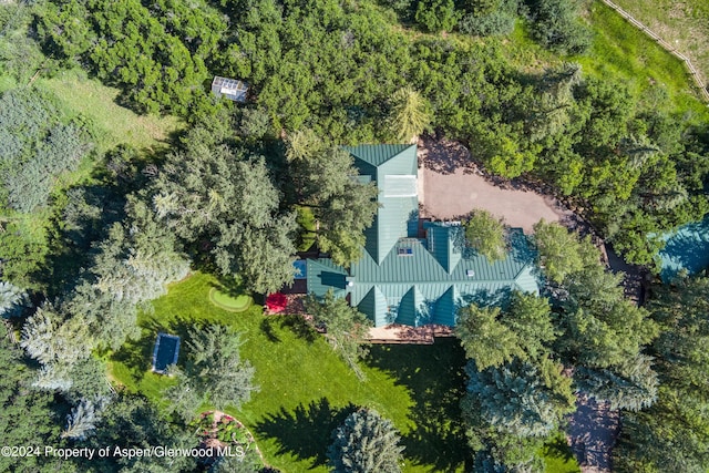 85 Glen Garry Dr, Aspen, CO 81611 - photo 36