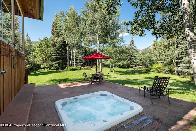 85 Glen Garry Dr, Aspen, CO 81611 - photo 18