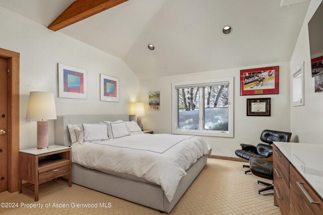 85 Glen Garry Dr, Aspen, CO 81611 - photo 30