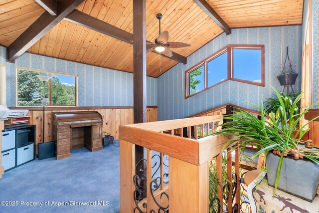 922 Steele Ct, Craig, CO 81625 - photo 48