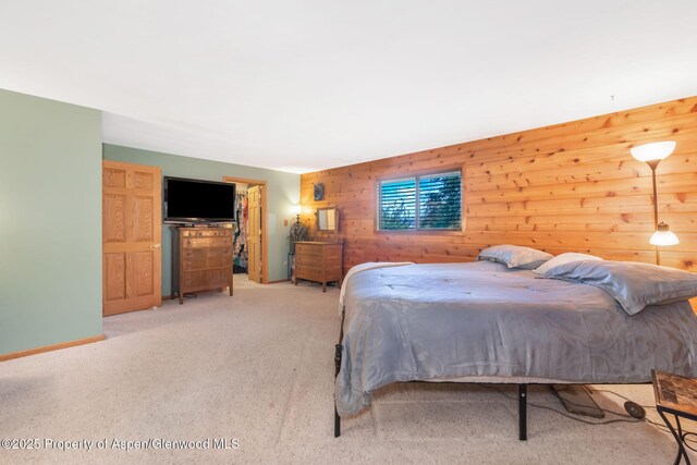 922 Steele Ct, Craig, CO 81625 - photo 34