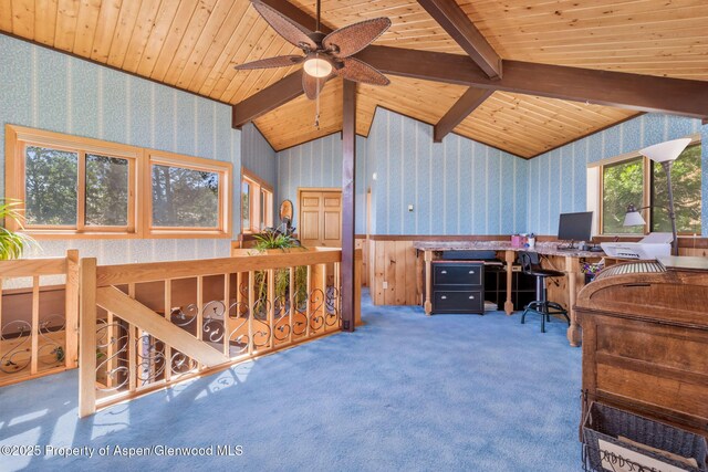 922 Steele Ct, Craig, CO 81625 - photo 45
