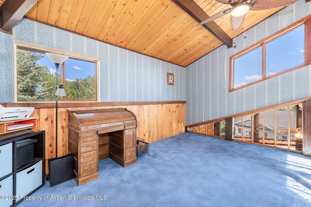 922 Steele Ct, Craig, CO 81625 - photo 47