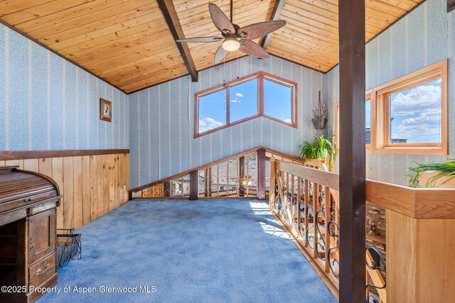 922 Steele Ct, Craig, CO 81625 - photo 46