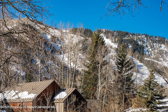 63 Smuggler Grove Rd, Aspen, CO 81611 - view of mountain background featuring a heavily wooded area