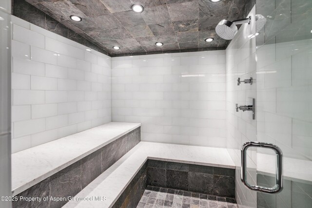 63 Smuggler Grove Rd, Aspen, CO 81611 - full bath featuring a shower stall and recessed lighting
