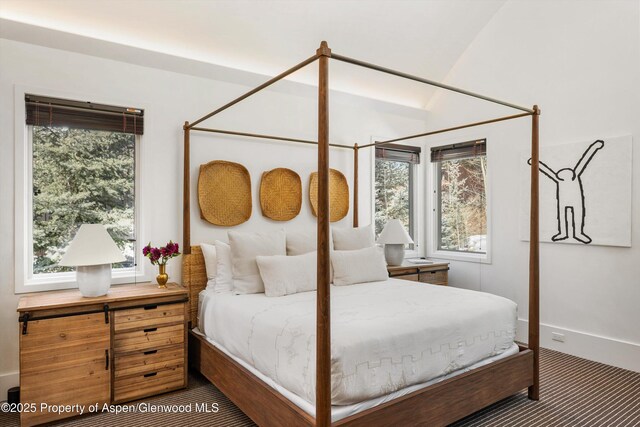 63 Smuggler Grove Rd, Aspen, CO 81611 - bedroom with multiple windows and carpet flooring