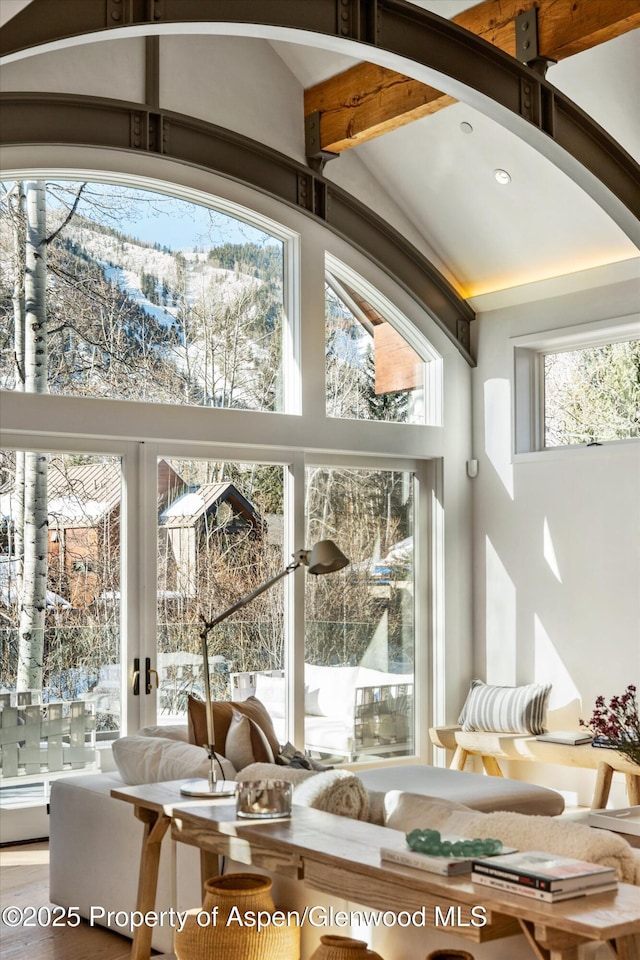 63 Smuggler Grove Rd, Aspen, CO 81611 - view of sunroom