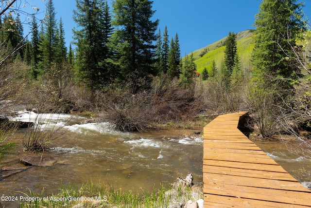 9888 Castle Creek Rd, Aspen, CO 81611 - photo 42