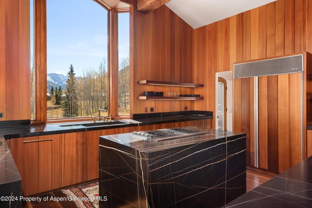 9888 Castle Creek Rd, Aspen, CO 81611 - photo 20