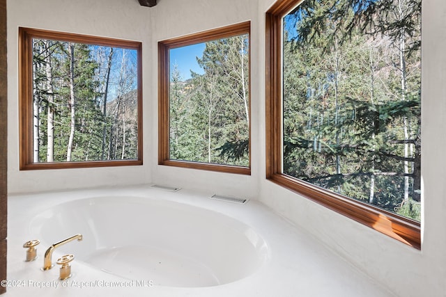 9888 Castle Creek Rd, Aspen, CO 81611 - photo 25
