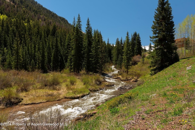 9888 Castle Creek Rd, Aspen, CO 81611 - photo 43