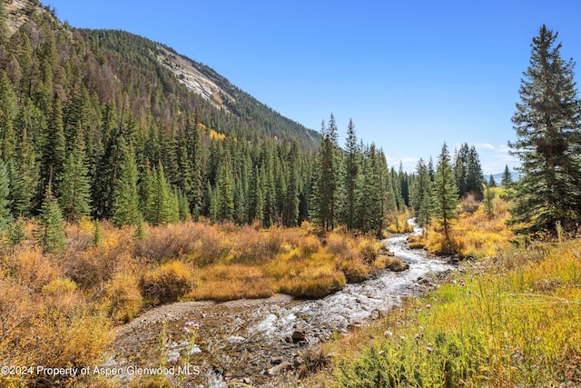 9888 Castle Creek Rd, Aspen, CO 81611 - photo 44