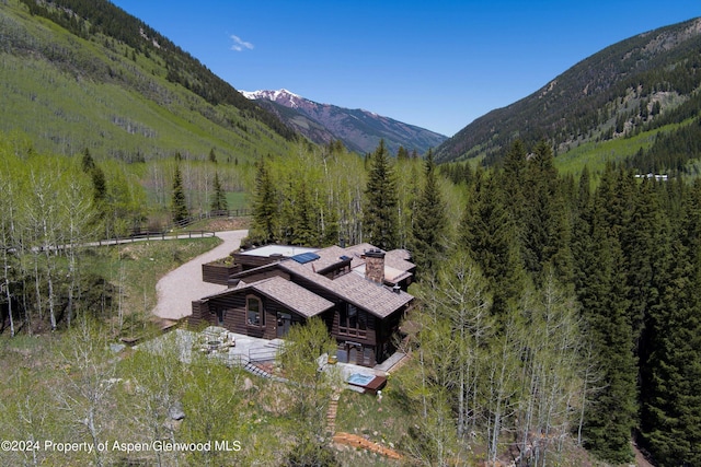 9888 Castle Creek Rd, Aspen, CO 81611 - photo 45
