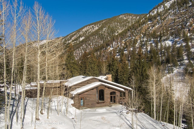 9888 Castle Creek Rd, Aspen, CO 81611 - photo 6