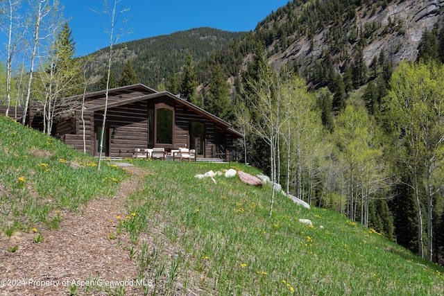 9888 Castle Creek Rd, Aspen, CO 81611 - photo 37