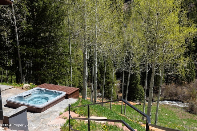 9888 Castle Creek Rd, Aspen, CO 81611 - photo 47
