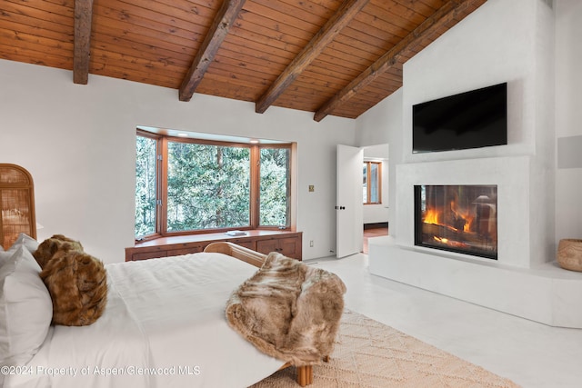 9888 Castle Creek Rd, Aspen, CO 81611 - photo 22