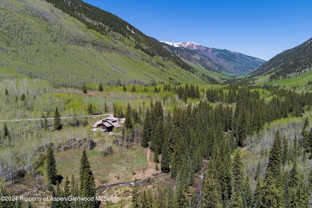 9888 Castle Creek Rd, Aspen, CO 81611 - photo 48