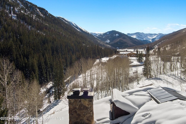 9888 Castle Creek Rd, Aspen, CO 81611 - photo 8