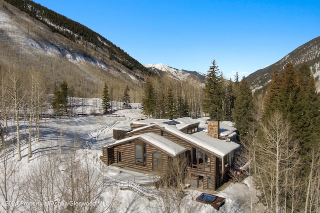 9888 Castle Creek Rd, Aspen, CO 81611 - photo 4