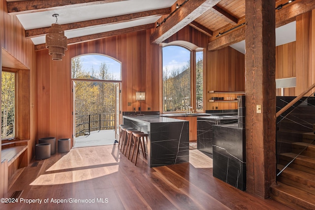 9888 Castle Creek Rd, Aspen, CO 81611 - photo 19