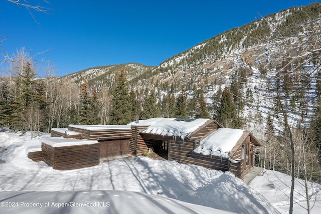 9888 Castle Creek Rd, Aspen, CO 81611 - photo 7