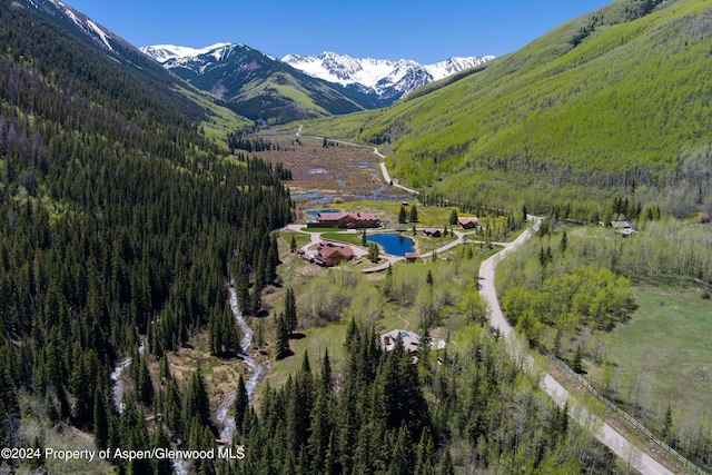 9888 Castle Creek Rd, Aspen, CO 81611 - photo 49
