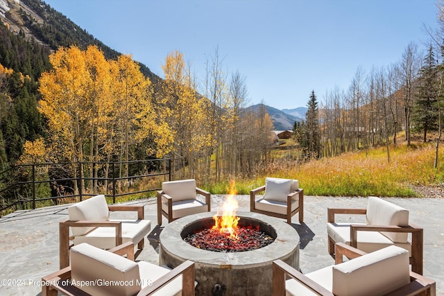 9888 Castle Creek Rd, Aspen, CO 81611 - photo 39