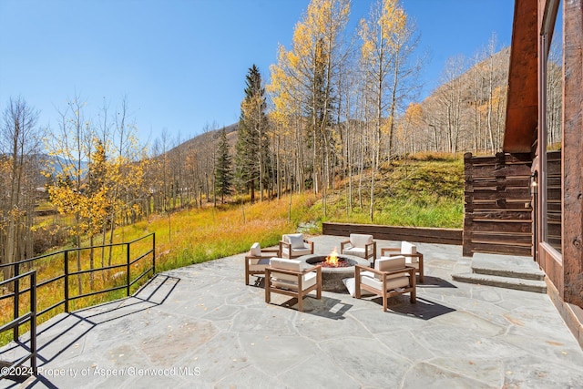 9888 Castle Creek Rd, Aspen, CO 81611 - photo 40