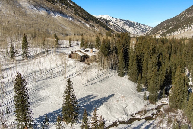 9888 Castle Creek Rd, Aspen, CO 81611 - photo 5