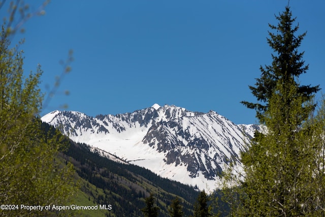 9888 Castle Creek Rd, Aspen, CO 81611 - photo 50
