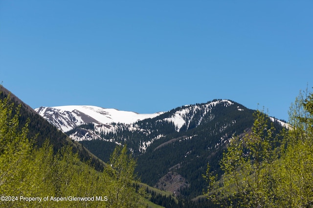 9888 Castle Creek Rd, Aspen, CO 81611 - photo 51