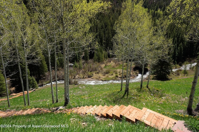9888 Castle Creek Rd, Aspen, CO 81611 - photo 41