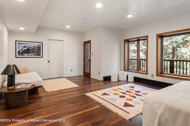 9888 Castle Creek Rd, Aspen, CO 81611 - photo 33