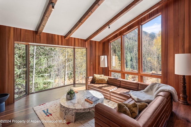 9888 Castle Creek Rd, Aspen, CO 81611 - photo 11