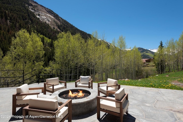 9888 Castle Creek Rd, Aspen, CO 81611 - photo 38