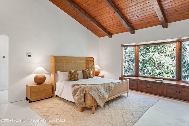 9888 Castle Creek Rd, Aspen, CO 81611 - photo 23