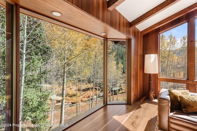 9888 Castle Creek Rd, Aspen, CO 81611 - photo 12