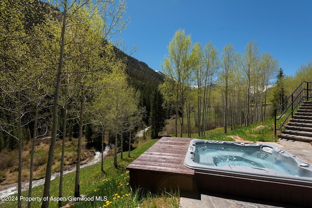 9888 Castle Creek Rd, Aspen, CO 81611 - photo 46