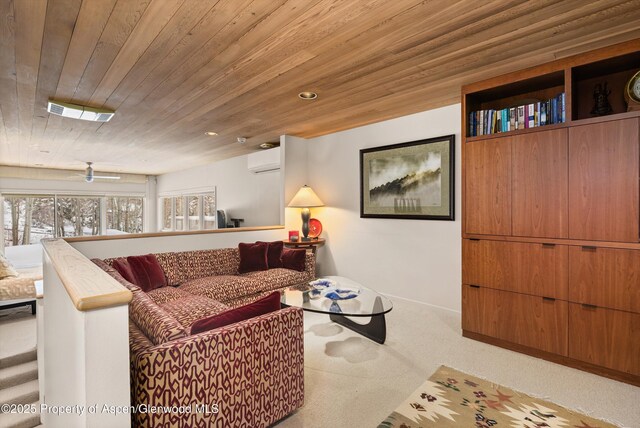 175 White Horse Springs Rd, Aspen, CO 81611 - photo 38