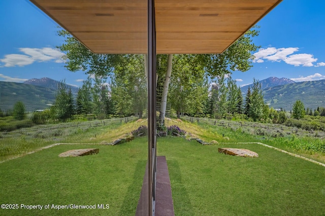 175 White Horse Springs Rd, Aspen, CO 81611 - photo 41