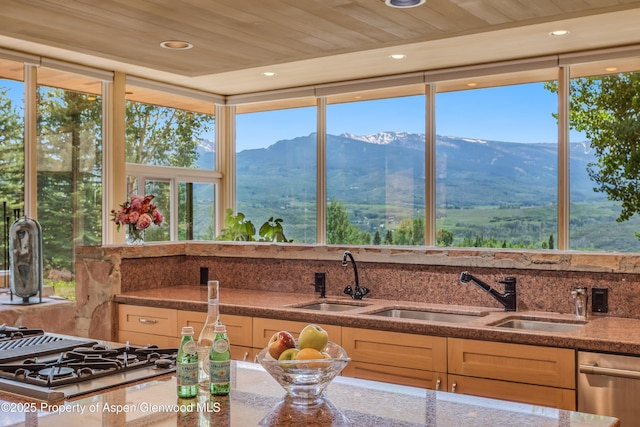 175 White Horse Springs Rd, Aspen, CO 81611 - photo 19