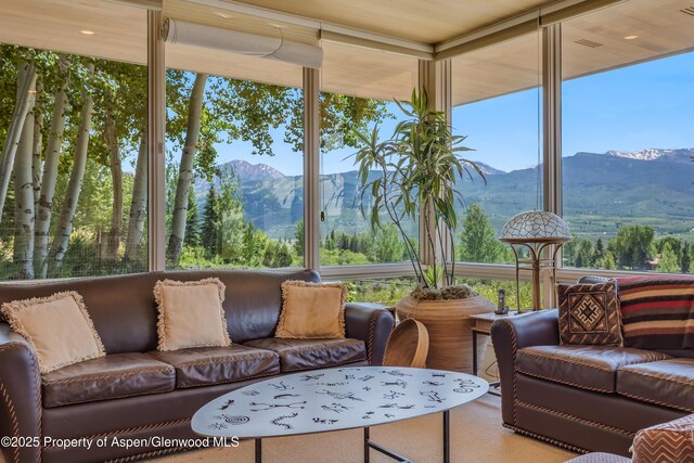 175 White Horse Springs Rd, Aspen, CO 81611 - photo 29