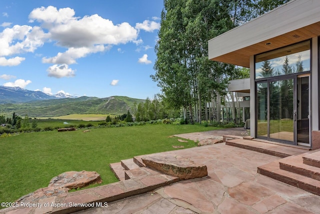 175 White Horse Springs Rd, Aspen, CO 81611 - photo 3